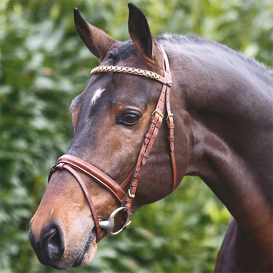 WEPA Horse Trense DESIREE - schwarz/silber