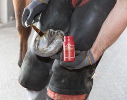 KEVIN BACONS Hoof Solution 