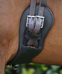 KENTUCKY Horsewear Kurzgurt ANATOMISCH - schwarz