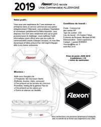 FLEX-ON Steigbügel SAFE-ON Ultra Grip - grau