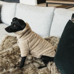 KENTUCKY Hundepullover DOG Sweater TEDDY FLEECE
