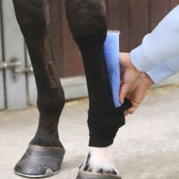 KENTUCKY Sehnenstrümpfe TENDON Grip Sock